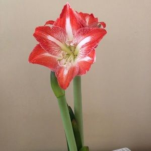 Meet your Posher, Candice